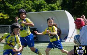 🏉🐬Ecole de Rugby - Catégorie U5, U7 et U9 de 16h30 à 18h00 au Stade Djorkaeff