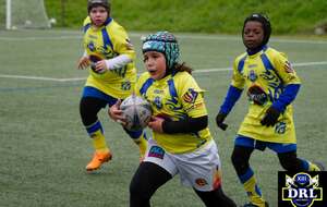 🏉🐬Ecole de Rugby - Catégorie U11, U13 et U15 de 17h00 à 18h30 au Stade Djorkaeff