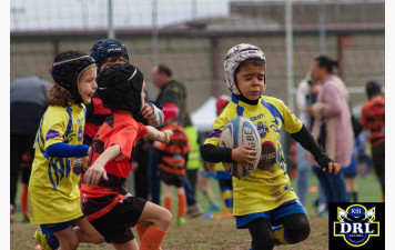 Top départ pour les jeunes Dauphins !