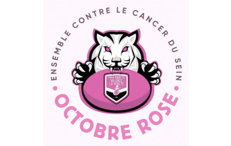 Para Rugby 13 Valence - La Voulte